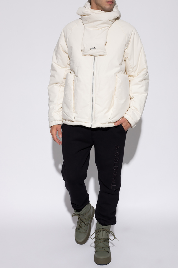 The north face hot sale tnl ovly jacket